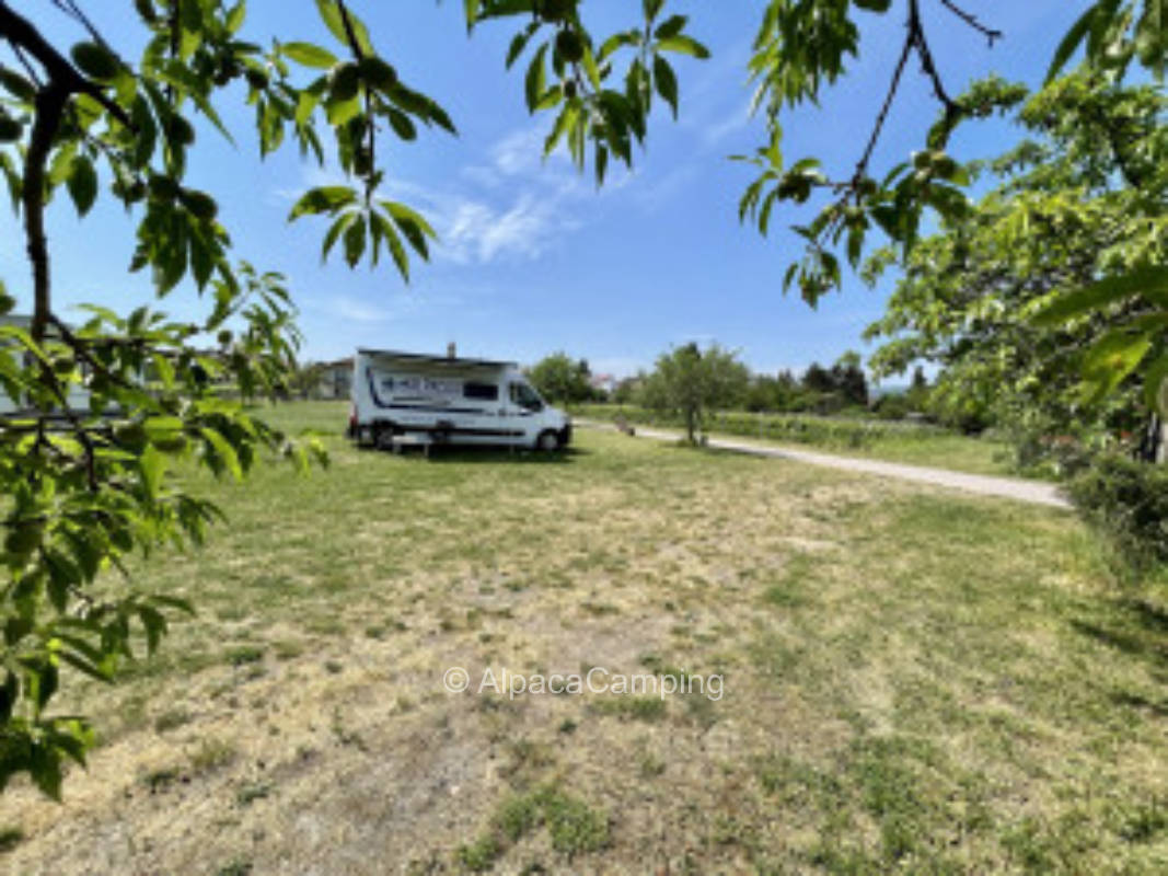 Ruhiger Wohnmobilstellplatz mit Weitblick am Weinberg #1