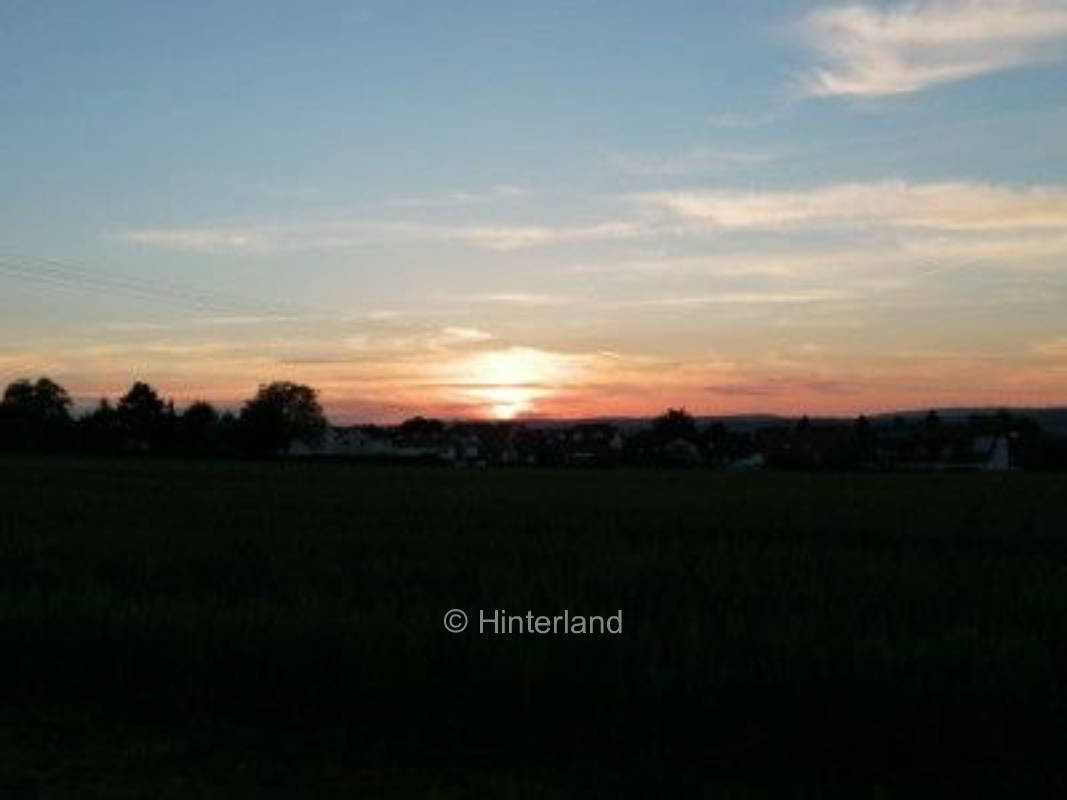 Weingut mit Weitblick ins Rheintal, privater Stellplatz