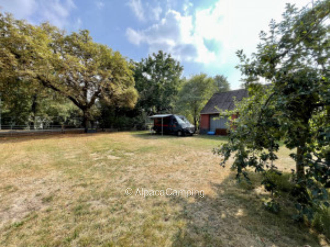 Pasture view #2