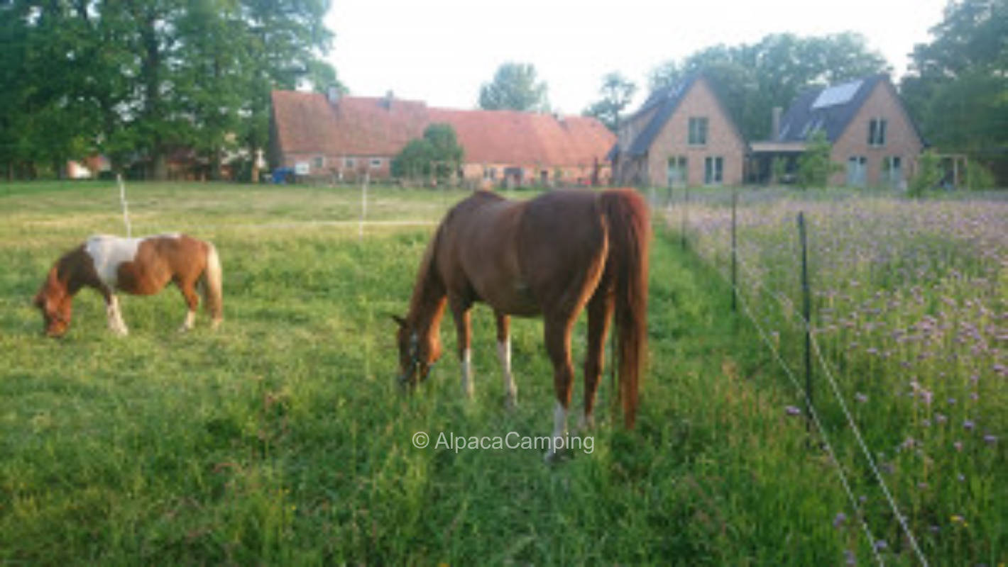 At the old farm #1