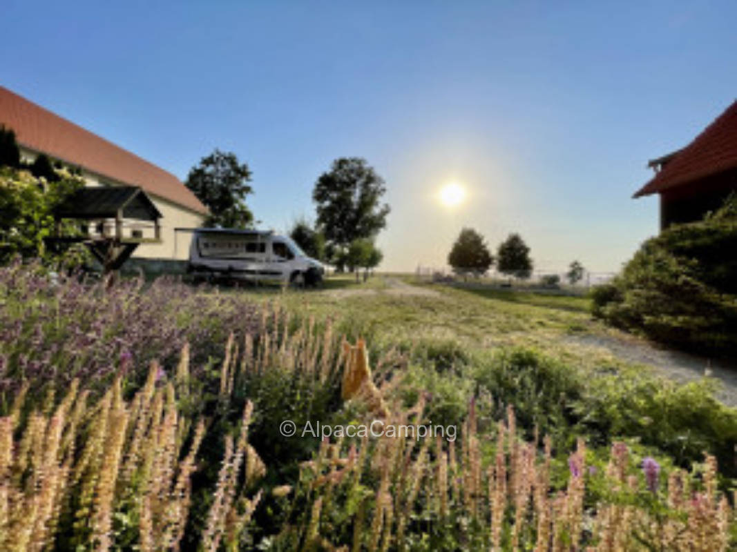 Vacation on the horse farm with the best view of the Upper Lusatia #2
