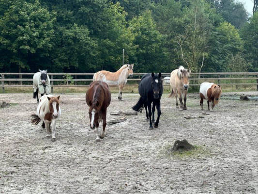 Campspace in Edewecht, Niedersachsen
