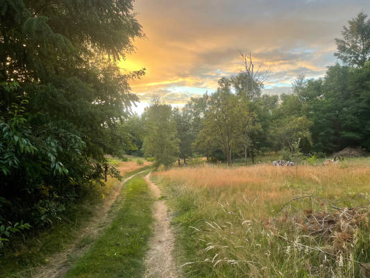 Der wilde garten