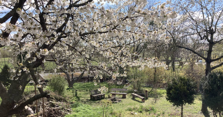 Camping unterm Nussbaum