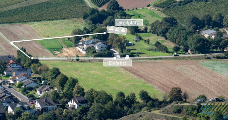 Wiese am Weingut Traumblick auf Weinberge und ins Nahetal