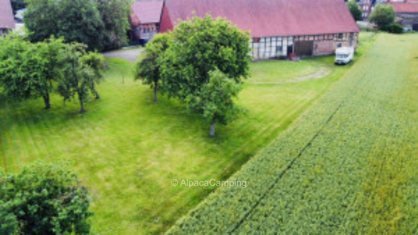 Obstgarten im Warnetal #3