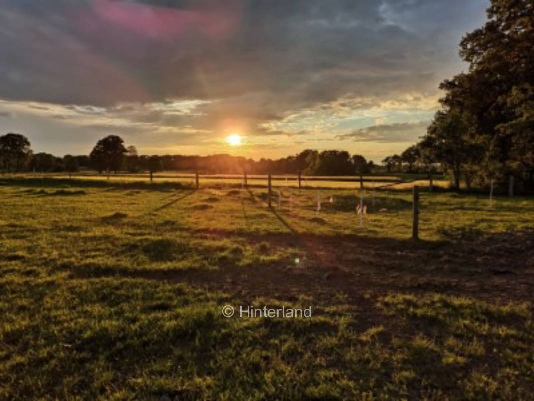 Camping on the farm near the Lüneburg Heath