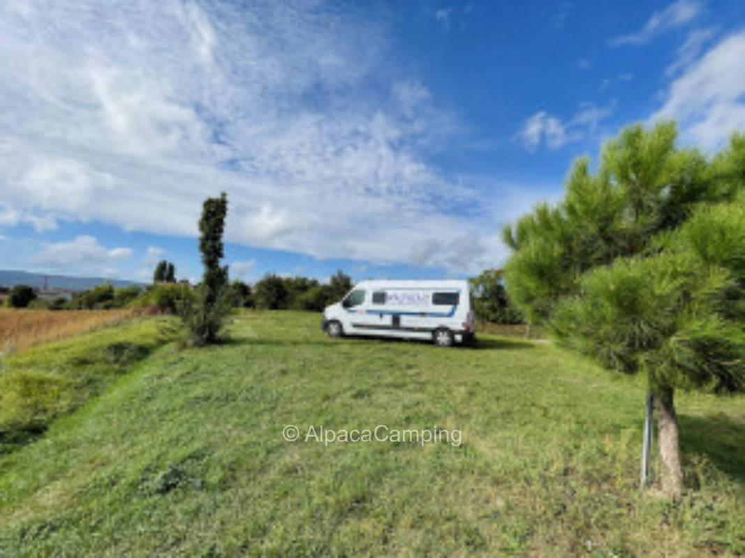 quiet location on the outskirts of the village in the middle of the vineyards with a view of the Palatinate Forest #1, privater Stellplatz