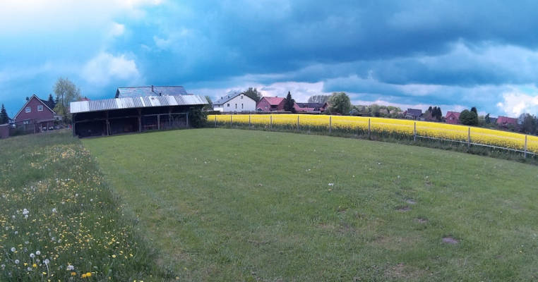 Wiese hinter unserem Haus. Zu