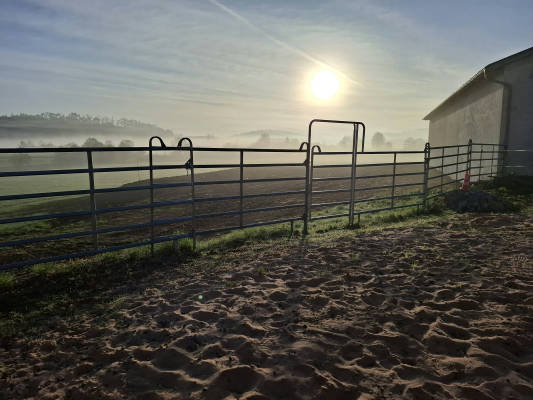 Camping auf der pferderanch