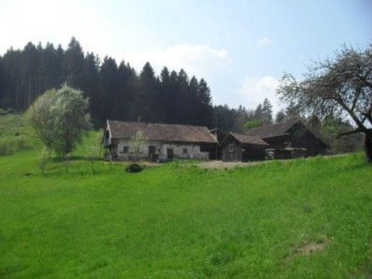Romantic secluded setting on an old farmstead