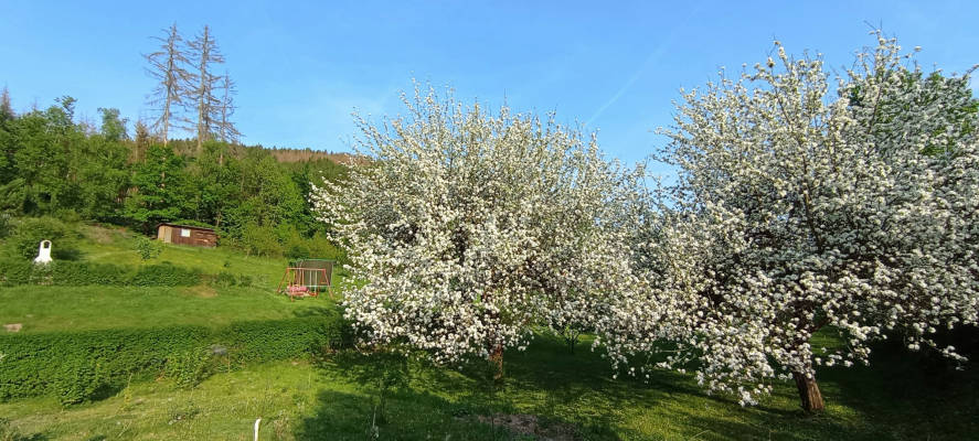 Ruhiger zelt stellplatz