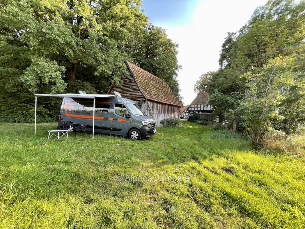 Between horse meadow and field