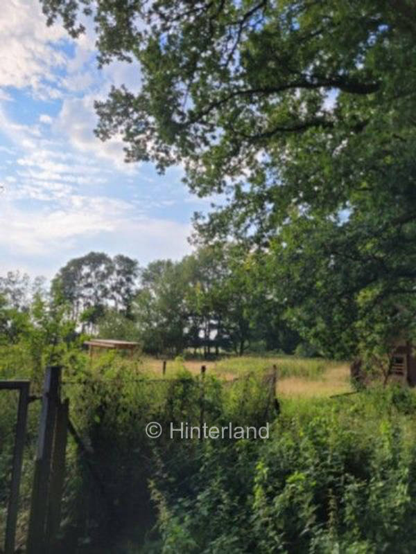 Alleinlage am Haus im Wald 