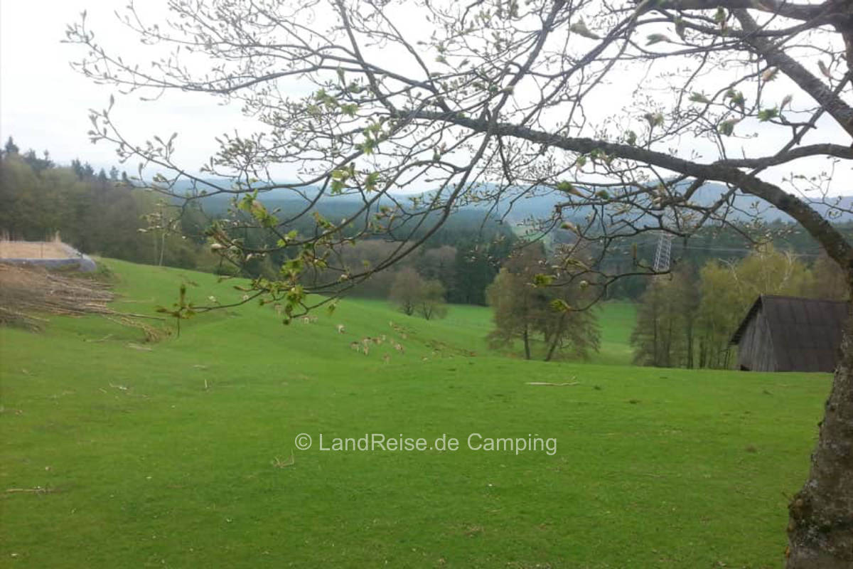 Pitch at the fallow deer enclosure