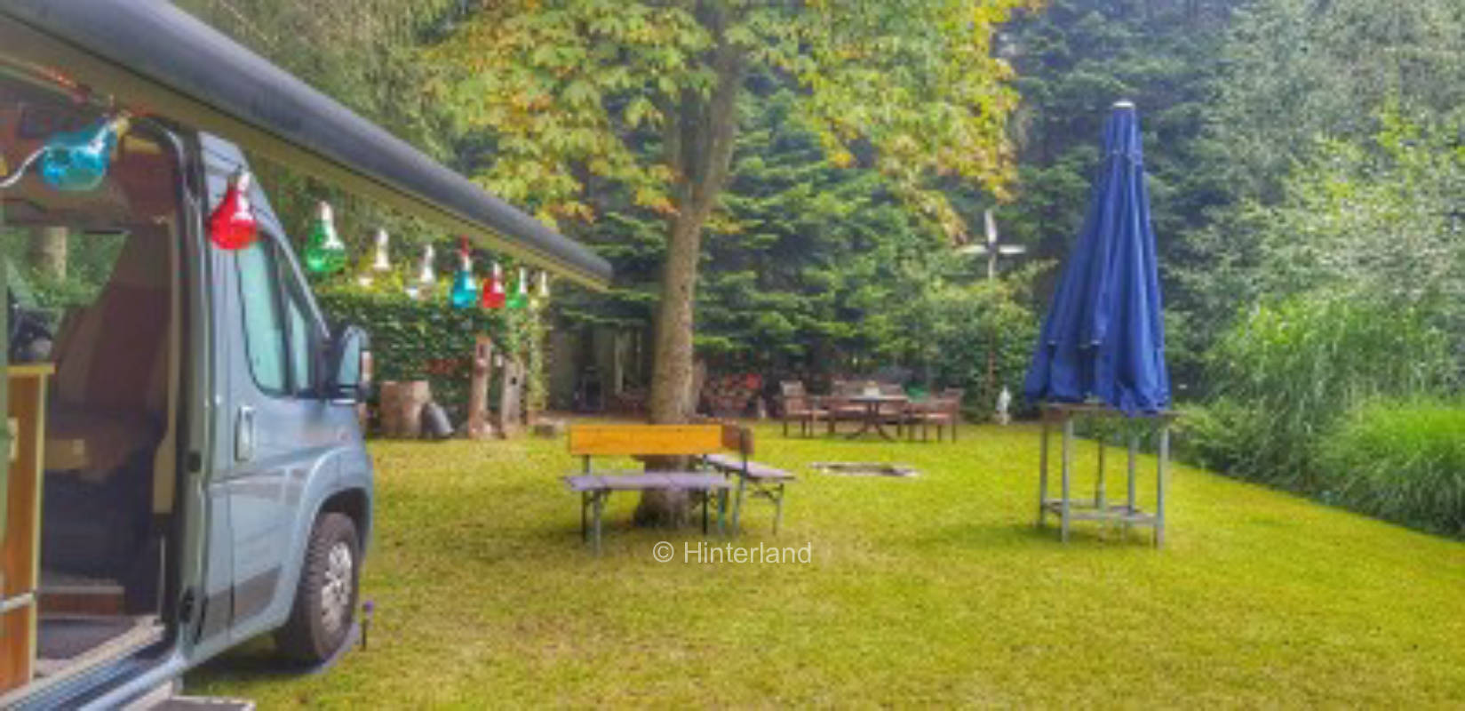 In the middle of greenery - pond, cottage, fireplace, forest