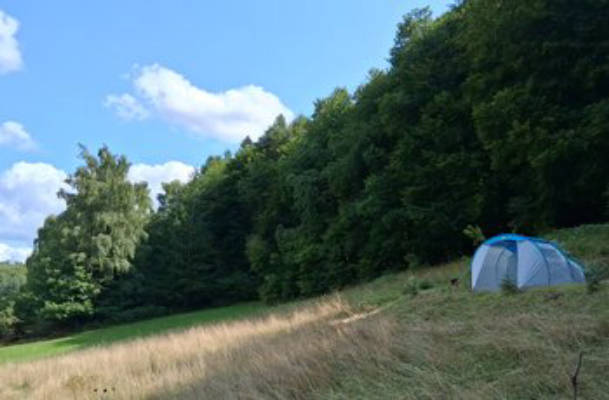 Camping between forest, meadow and far-reaching views