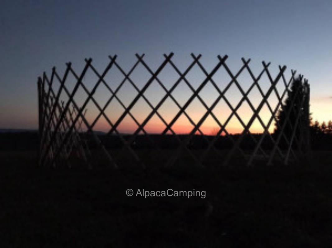 Inmitten der Permakultur #1