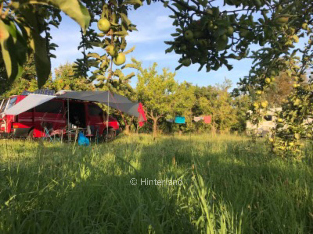 Naturcamping in der Apfelplantage 
