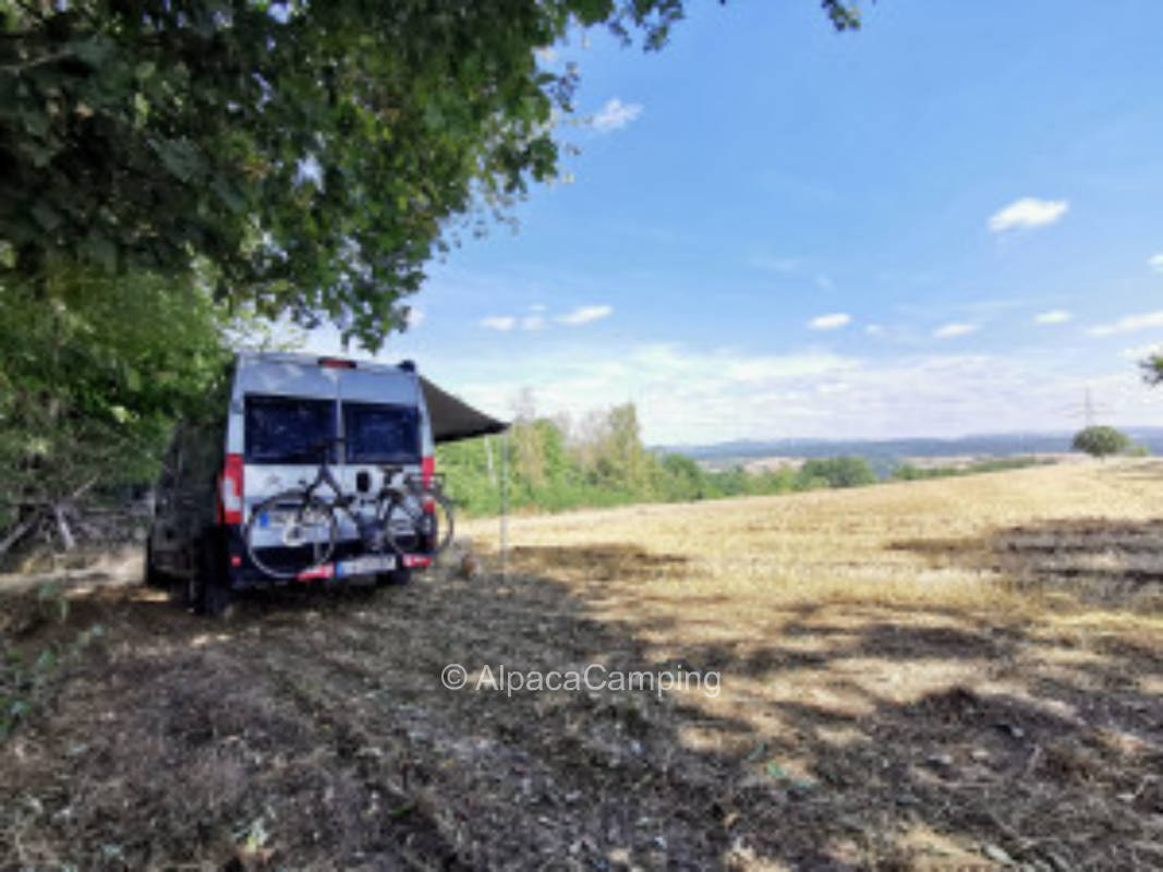 Pitch in Duderstadt with beautiful Harz view and inn nearby #2