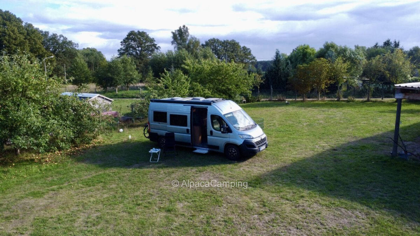 Sleeping place under the stork nest #1