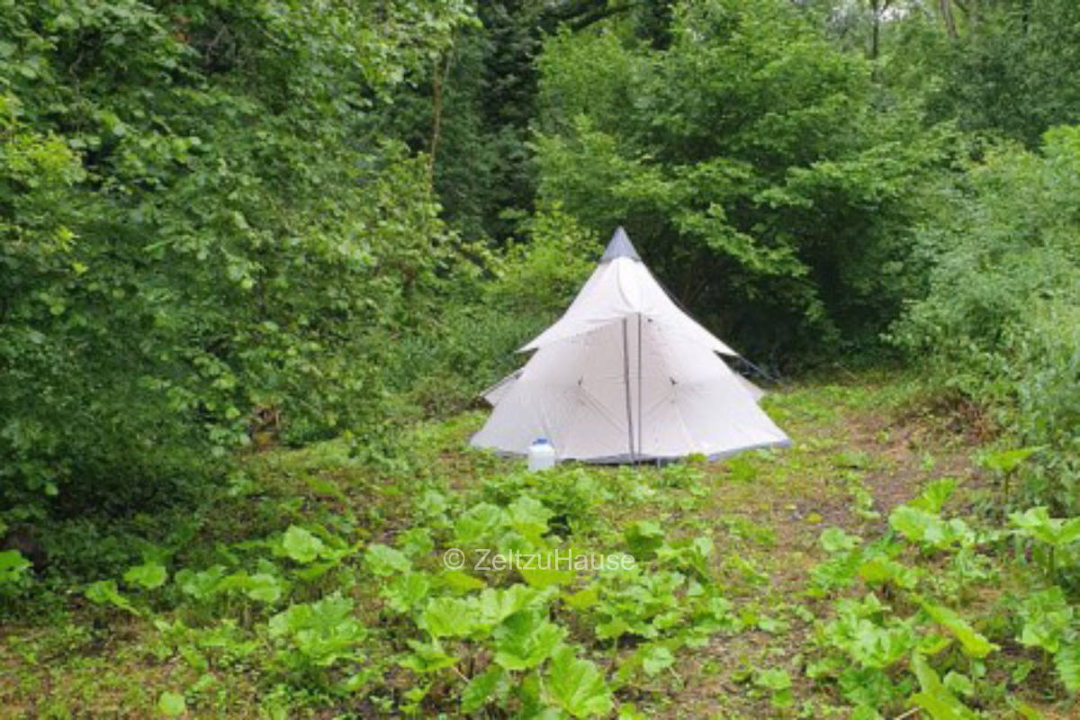 Platz inmitten der Natur- Fußläufig zur Mosel