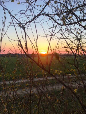 private parking space (Campspace 9002)