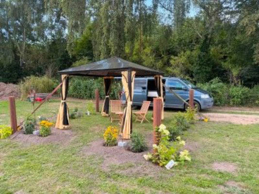 Gemütliches Camp unter den Birken
