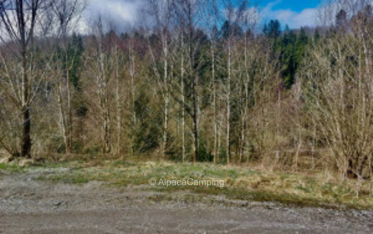 An der Wendeplatte #1