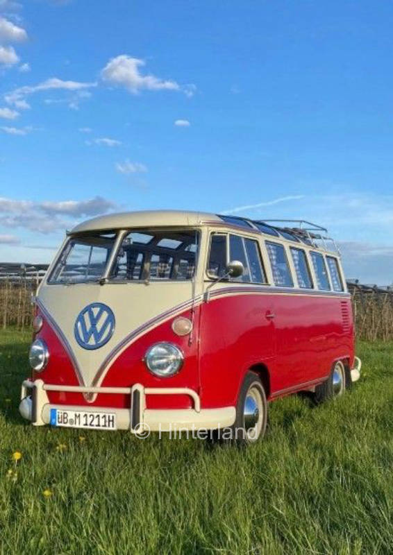 Bodensee -Bulli-Lieblingsplatz- auf dem Obsthof 