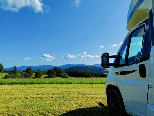 Woid wiese mit ausblick
