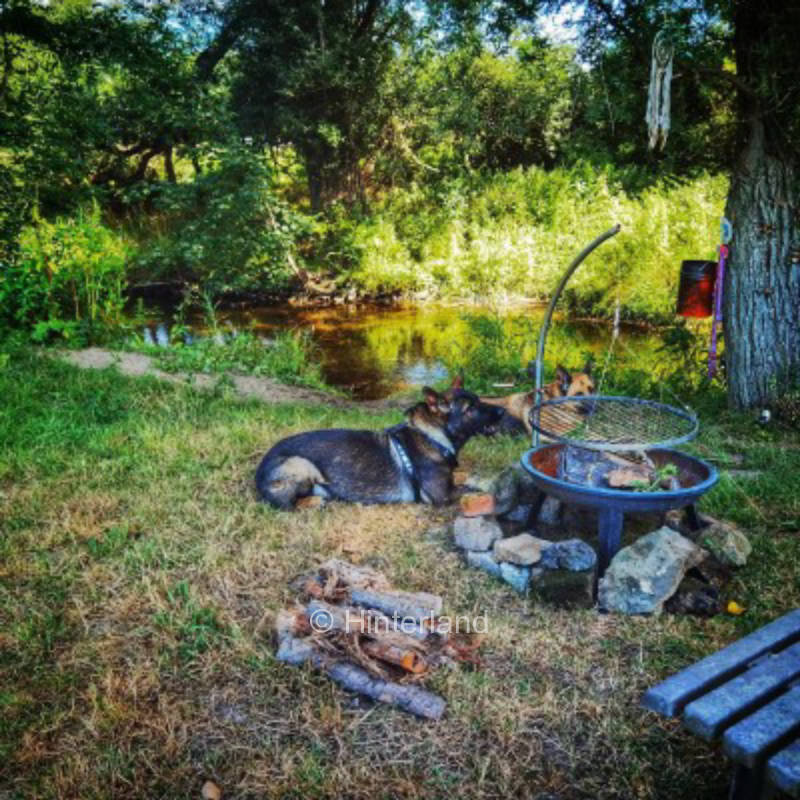 Urban Rustic Fairy Tale Alone on the Creek