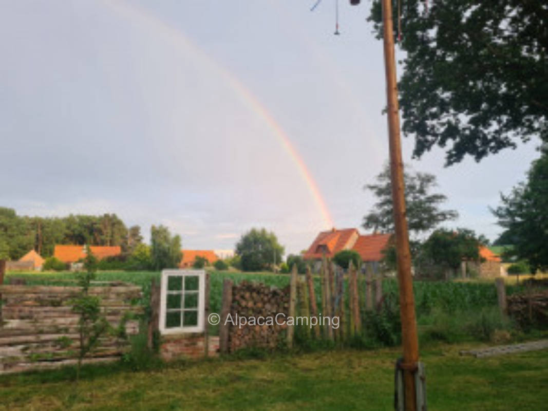 Stellplatz im Grünen #3