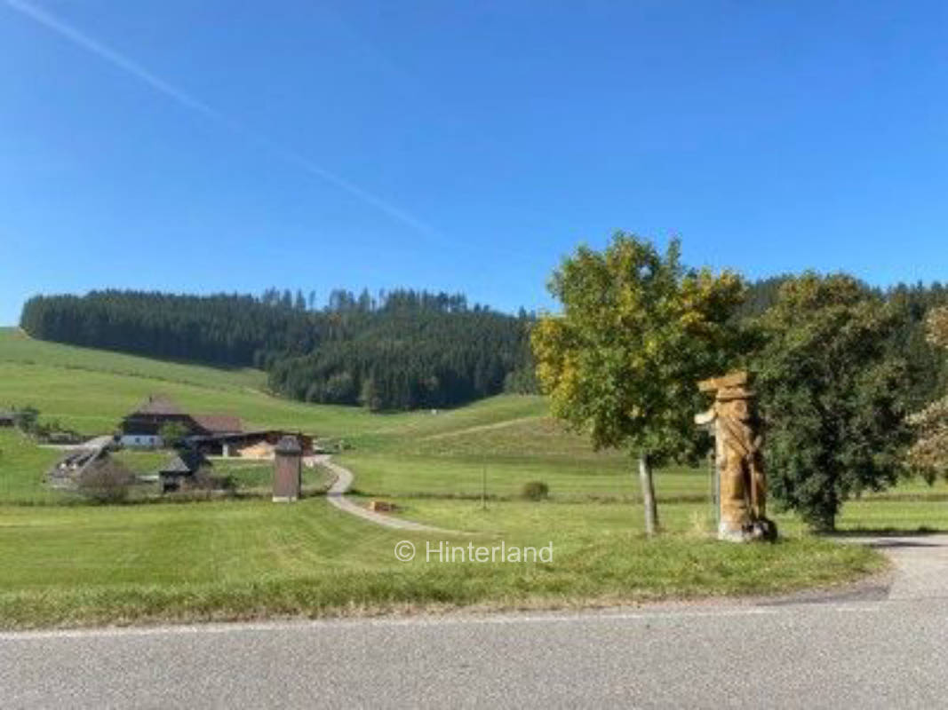 Bei der Fallerhütte im Schwarzwald mit Grillstelle