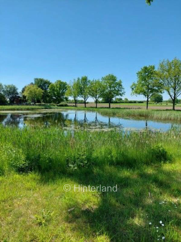 Idyllic places in Wangelau