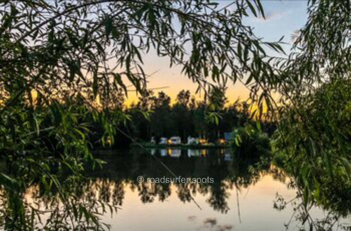 Wiesner's pond management