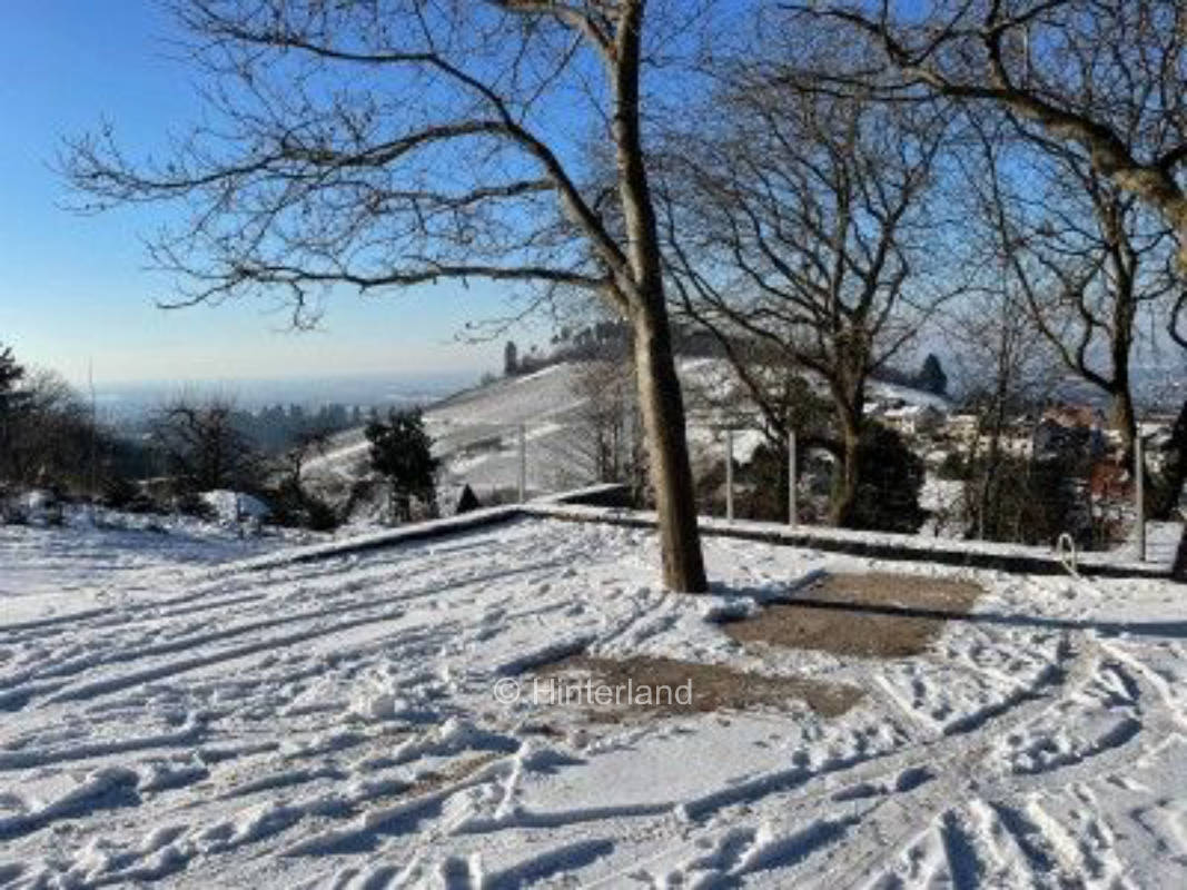 Idyllischer Bergbauernhof im Schwarzwald