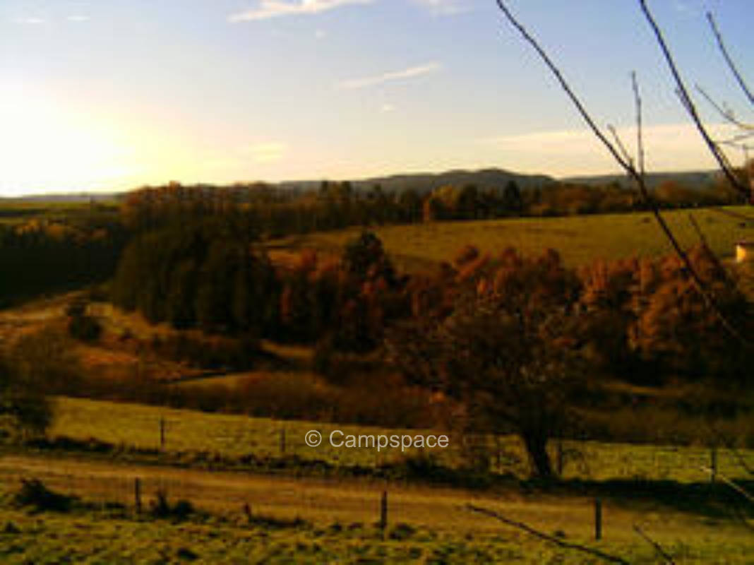 Naturnah (Campspace 4135)
