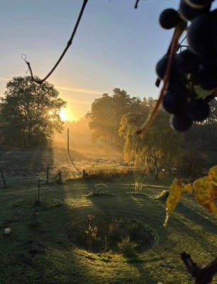 Natural campsites on large woodland property