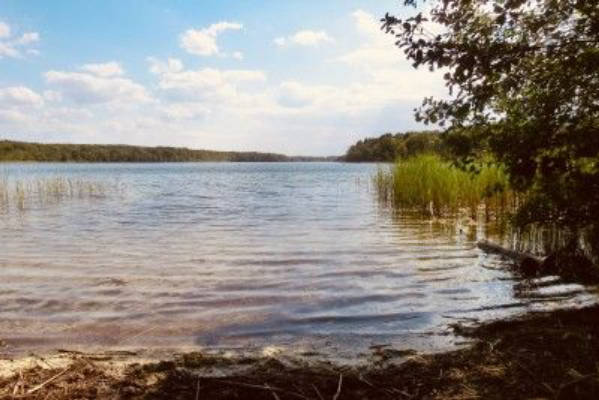 Idyllisches Grundstück zwischen Seen und Wäldern