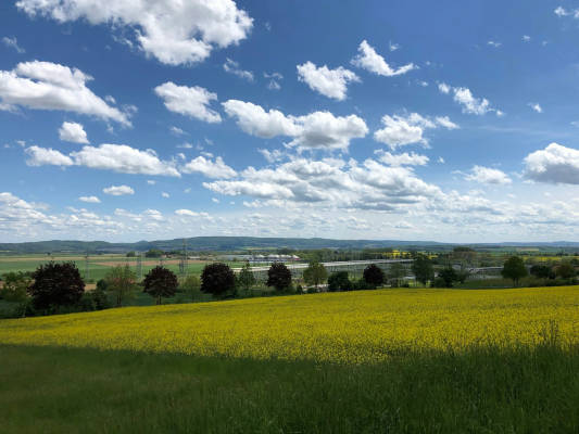 Ehem sagewerk leinetal brocken
