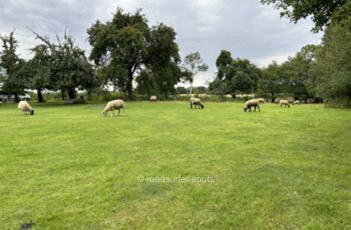 Camping auf der Schafwiese