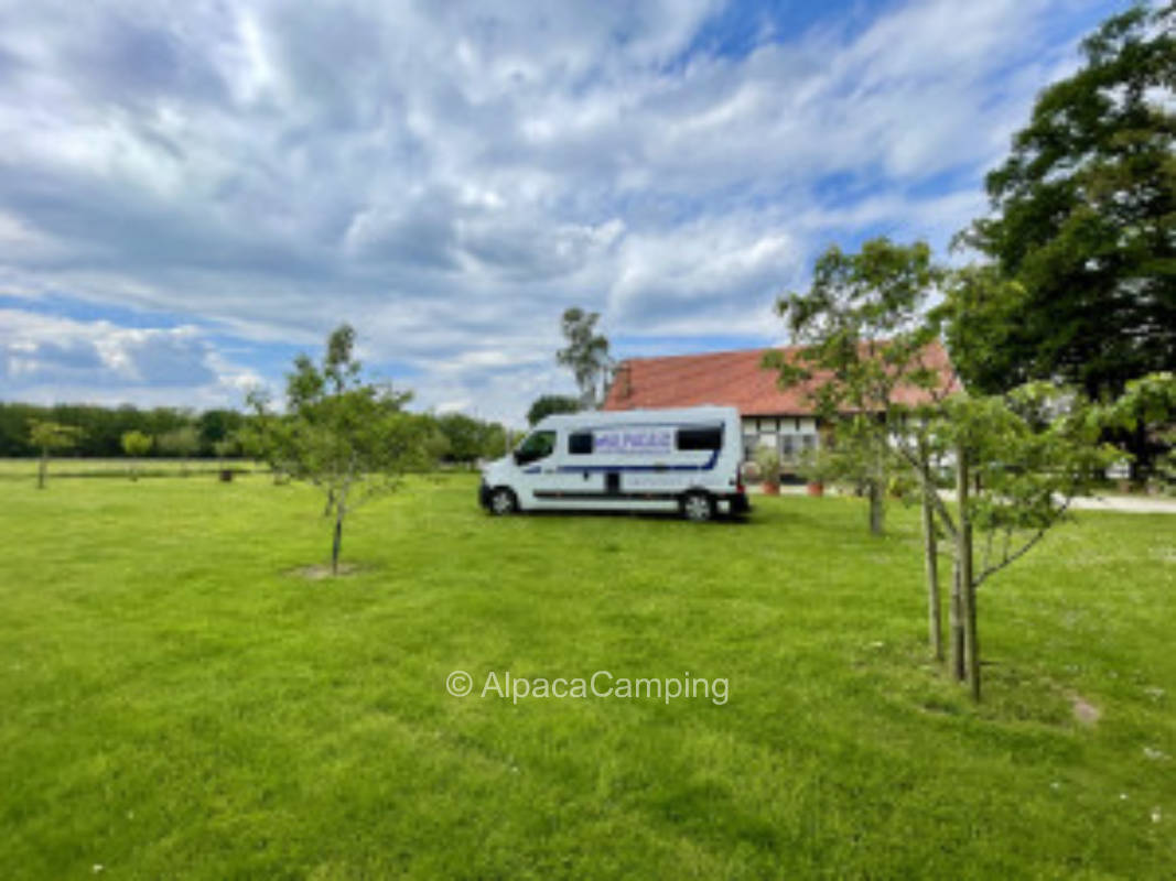 Quiet meadow with adjacent orchard and stream #3