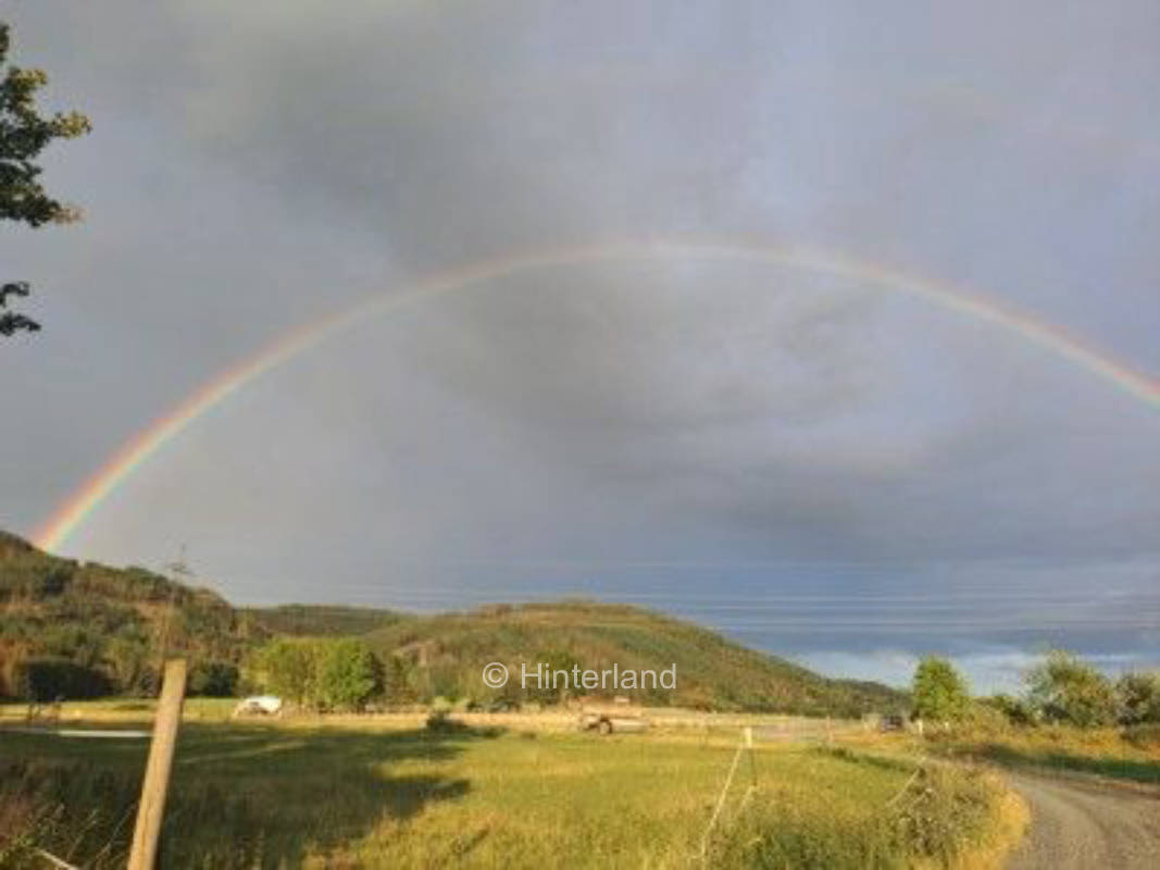 Bio Bauernhof am Frankenwald 