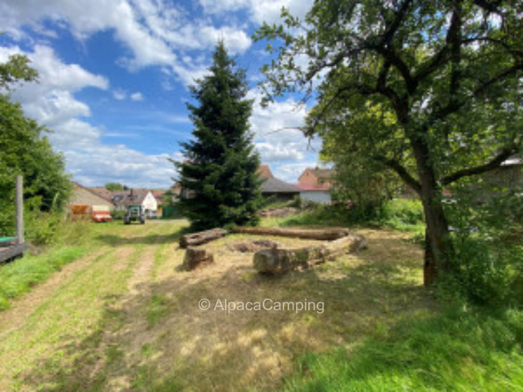 Cozy meadow in the yard #2