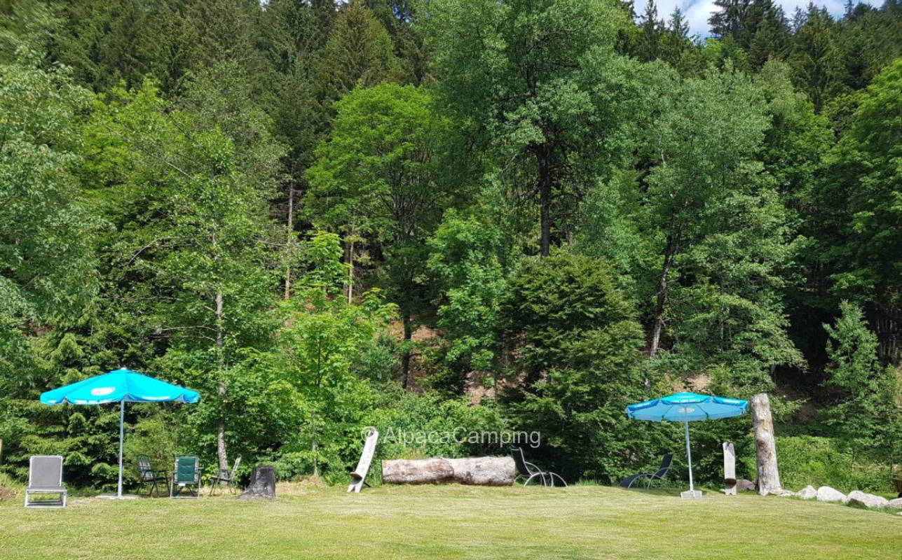 Black Forest Nature Park #1