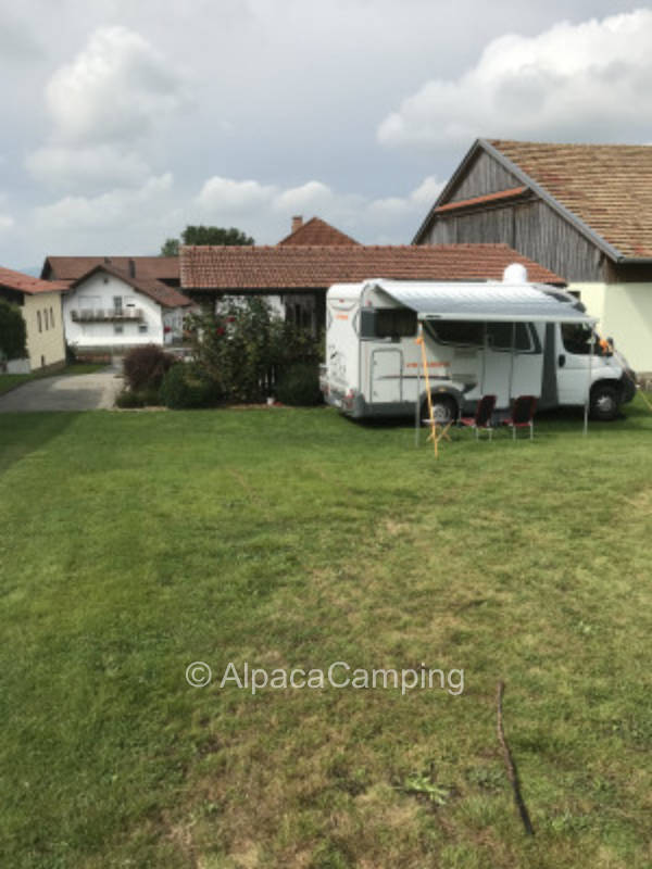 Camping on the farm #1