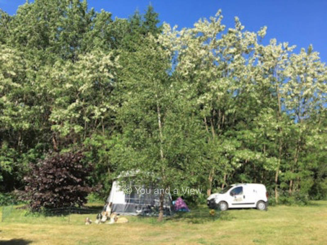 Campen im Wald - Forsthaus Metzelthin