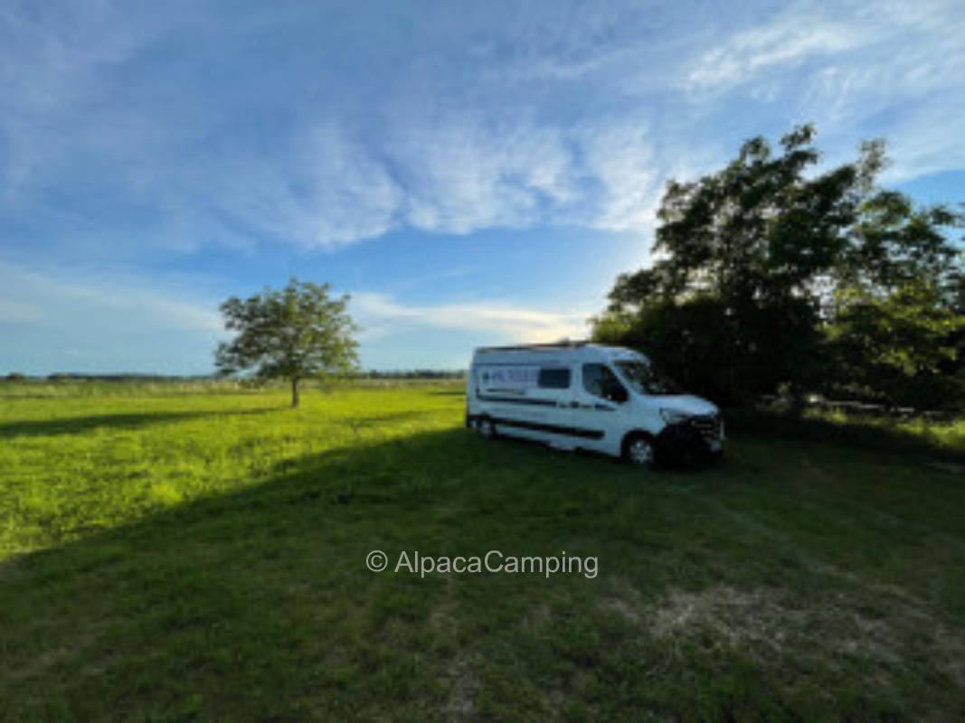 Gold piece in franconia #2