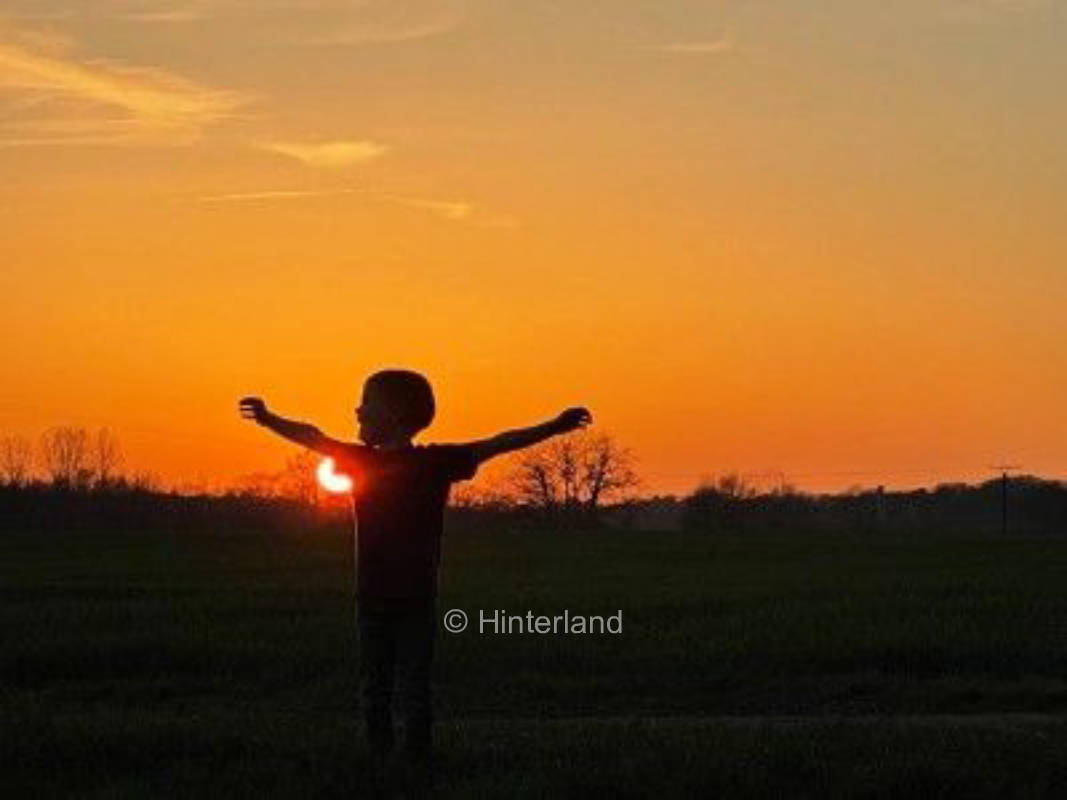 Alone on the meadow in the nowhere!